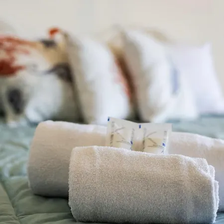 Stunning Portofino Sea View - Free Parking - Ac Rapallo